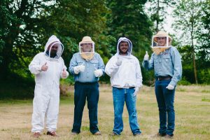 Wasp control professionals