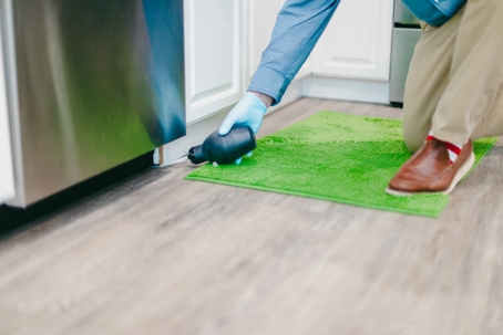 Person applying dust using a blub duster